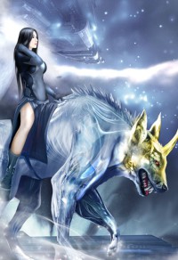 寒婿