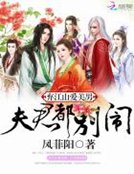 棄江山愛美男：夫君都別鬧